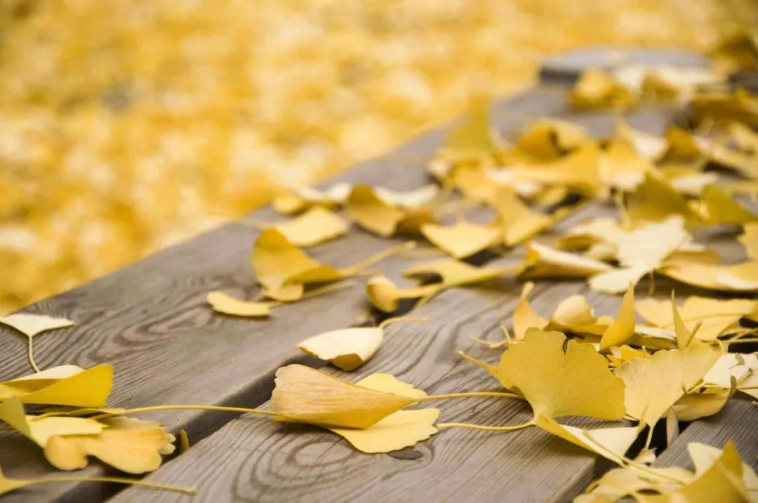 腾冲县地图在云南的哪个位置,腾冲边境地图