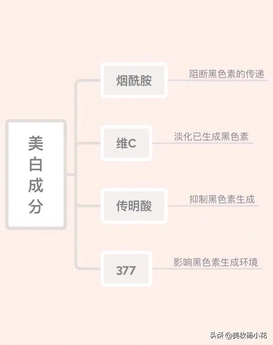 哪个牌子的网红美白产品好,那些爆火的美白网红好物