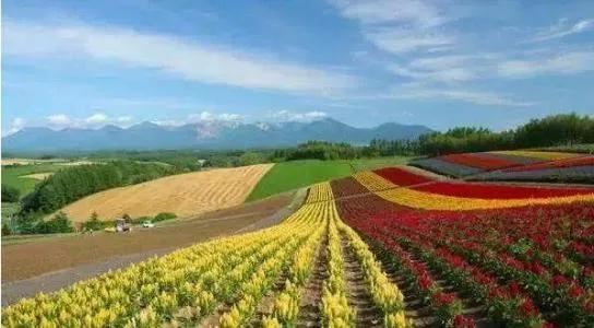 农业农村部28个重点扶持项目,2021农业扶持项目申请条件