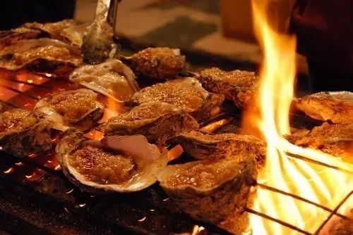 新西兰生蚝泛滥成灾,澳大利亚生蚝泛滥成灾