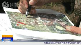 格力桂林产业园最新消息,桂林格力电器合作项目