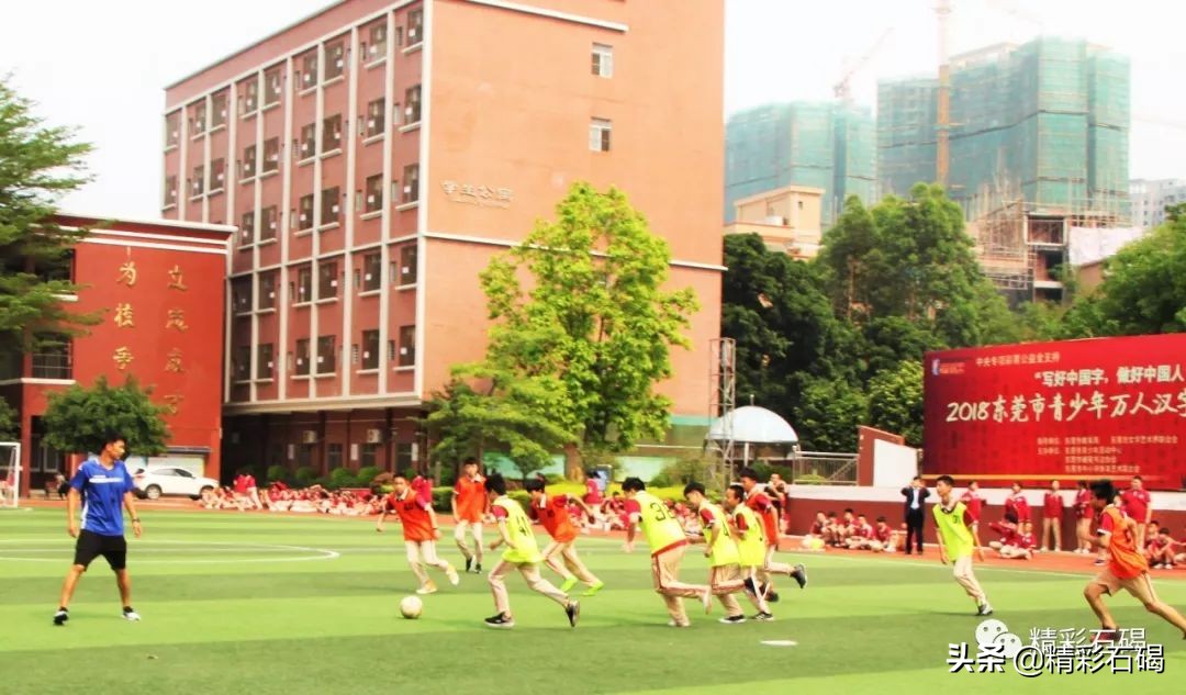 全国特色足球学校名单,东莞足球特色学校排名前十
