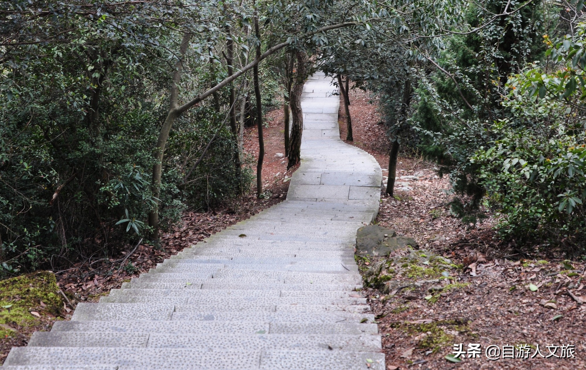 环西湖群山徒步毅行,行走西湖古诗词