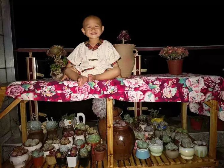 爱机车,爱多肉,宝妈花姐的诗和远方