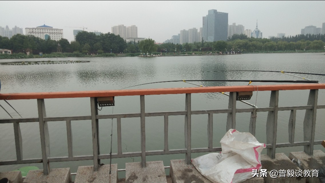 周末带娃出来抓抓虾,周六爸爸陪宝贝抓螃蟹