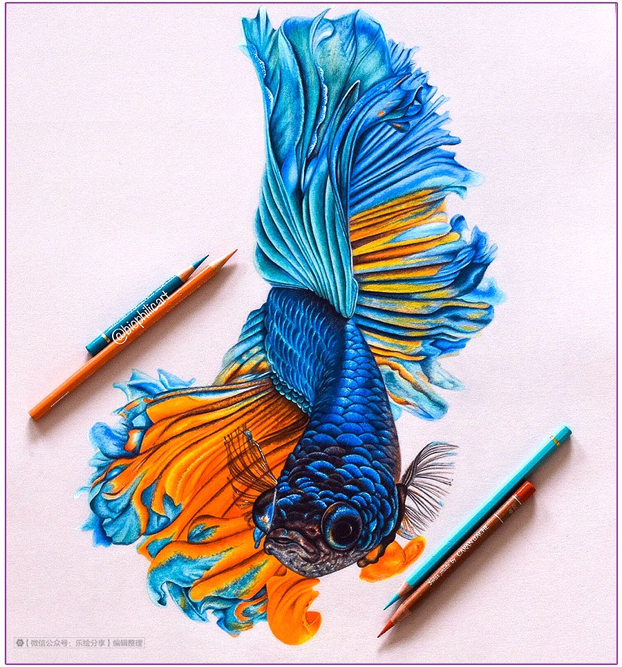 圆形牛皮纸彩铅画花鸟,彩铅画绿藤花鸟图片大全