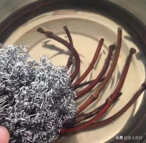 山上随便砍的藤条，竟然比金刚还牛逼！（附带制做方法）