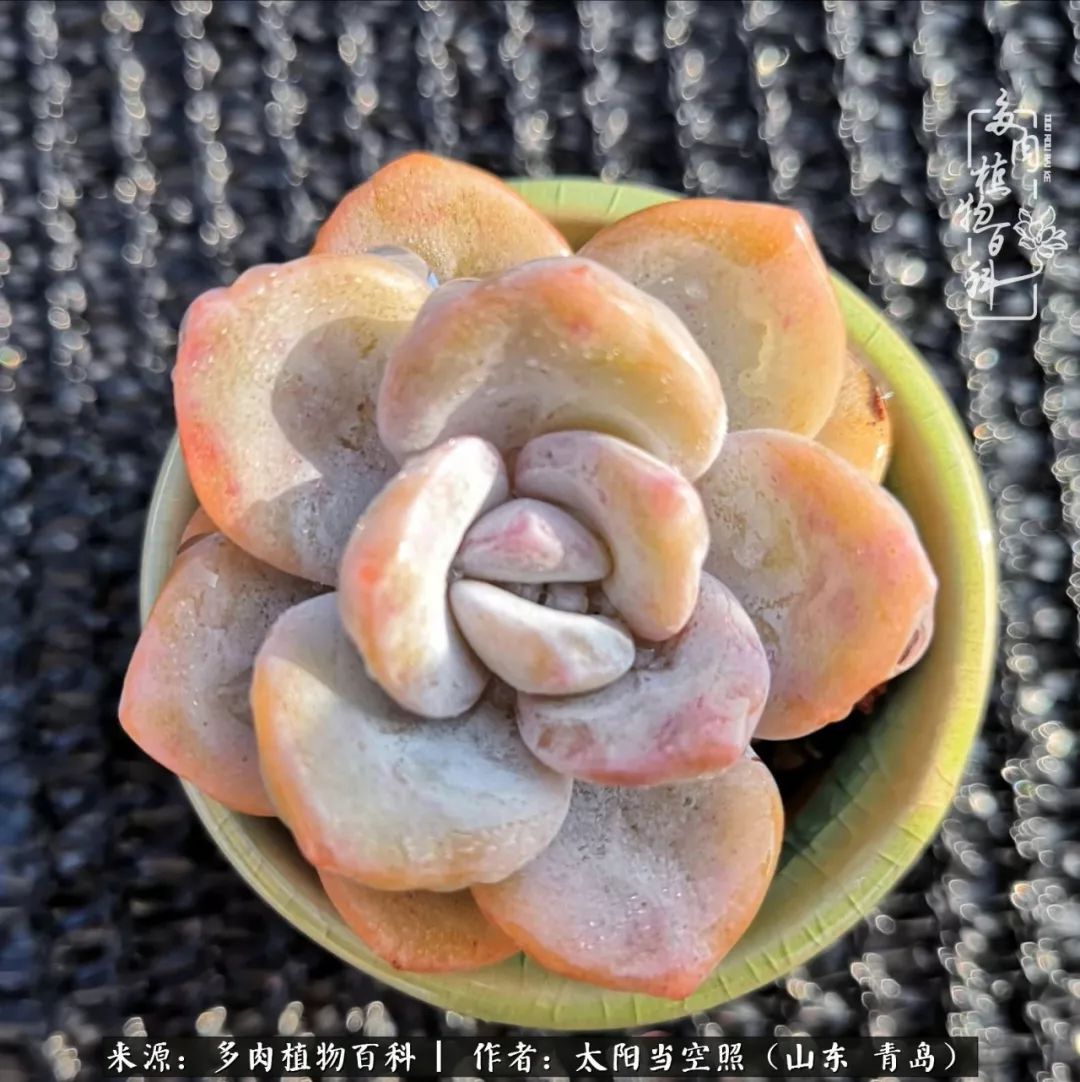 离家在外才发现最难忘的是故乡情,离家在外看见家乡的东西