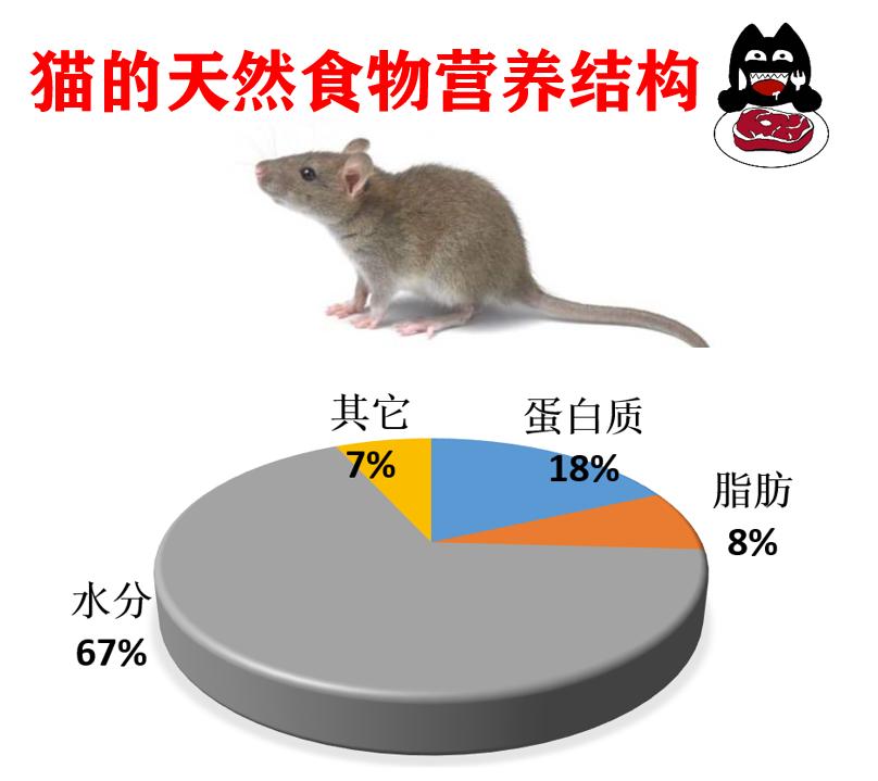 猫最喜欢吃的食物不是鱼吗,常吃猫粮的猫吃不得活鱼吗
