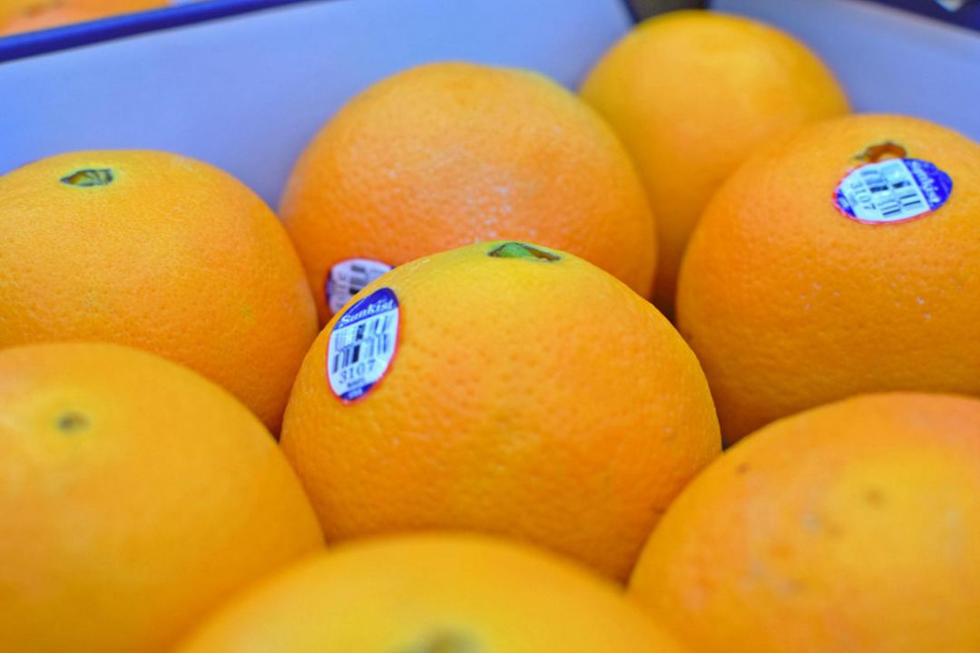 山姆新店活动码,山姆会员店宝藏单品