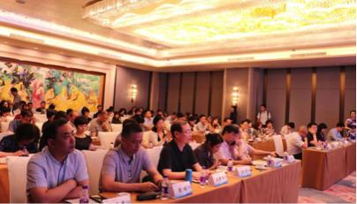 齐普怡来那度胺25mg一盒多少钱,齐普怡来那度胺胶囊说明书