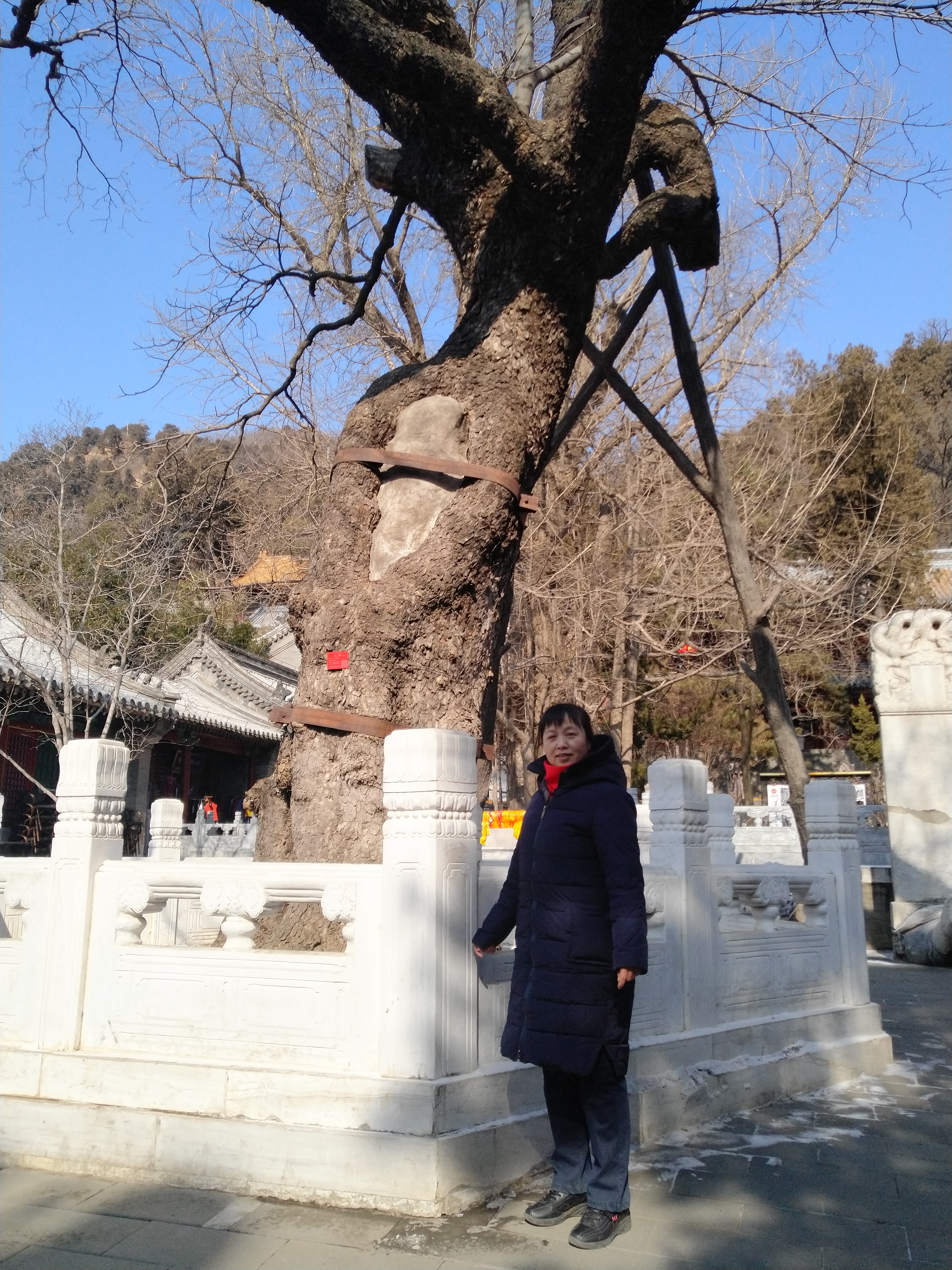北京卢沟桥一日游,潭柘寺八奇洞一日游