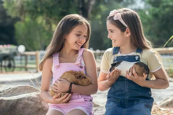 澳大利亚游的最佳线路,澳大利亚旅游攻略10天线路