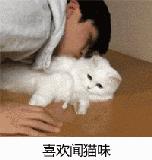 小米超大空间头等舱，堪称移动的“双人床”！米粉：奔驰要让位了