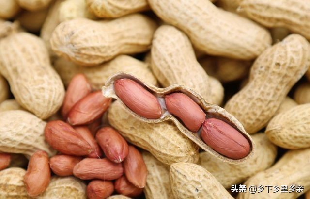 小麦引进中国之前人们吃什么,涨姿势科普刷新您对大米的认知