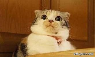 怎么买到便宜国际航班机票,如何买到便宜点飞机票