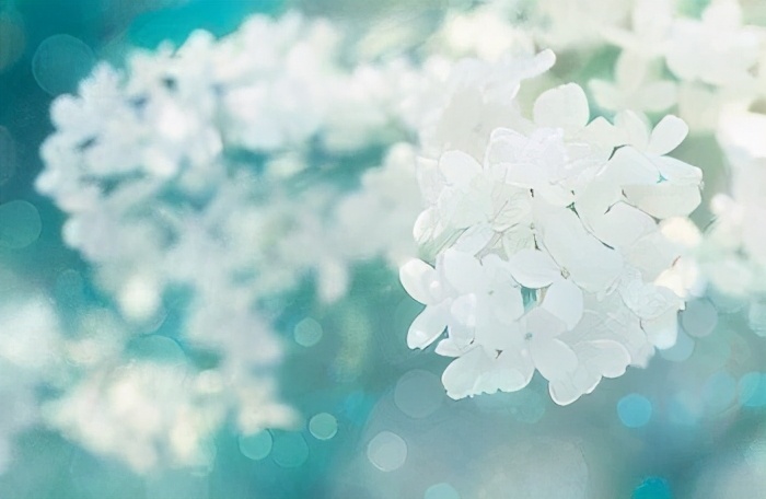 男人叫你老婆你怎么称呼才有趣,男人叫你老婆怎么高情商