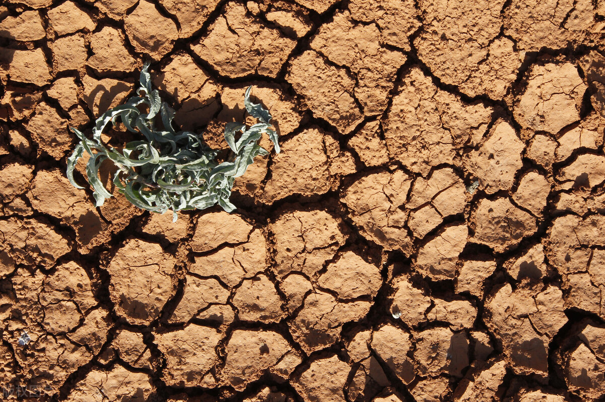 版图形似辣椒,地震频率远超日本,智利有着怎样的悲喜忧愁?