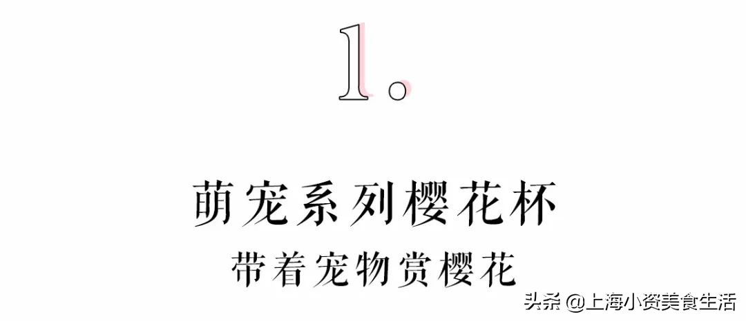 星巴克粉色樱花杯限量,星巴克韩国樱花限定杯2019