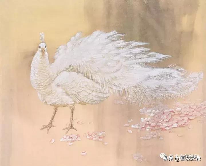 工笔孔雀上色步骤详解,工笔最顶级逼真孔雀画精品