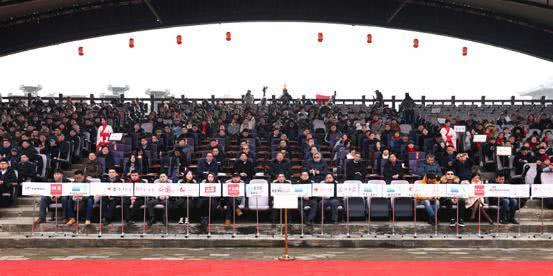 璧ゅ鍢夌闆嗗洟瑙勫垝,璧ゅ鍢夌闆嗗洟鐜扮姸