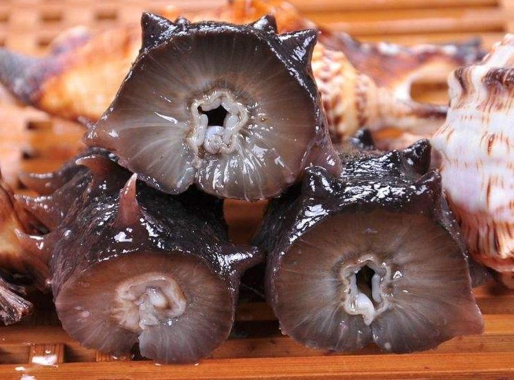 吃海参拉肚子三种人不宜吃海参,吃了海参腹泻是添加的什么