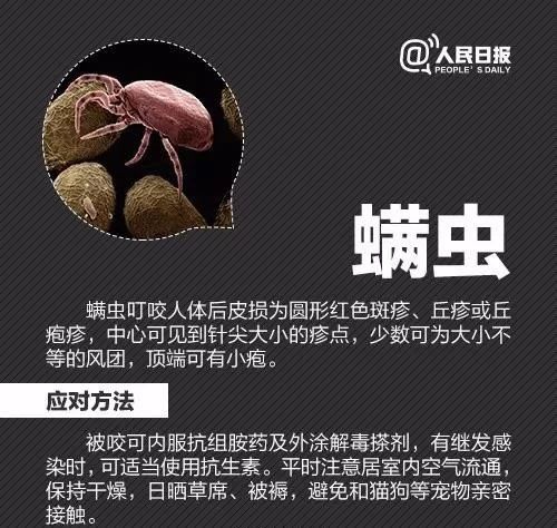 虫子叮咬引发疾病,虫子叮咬会得什么病