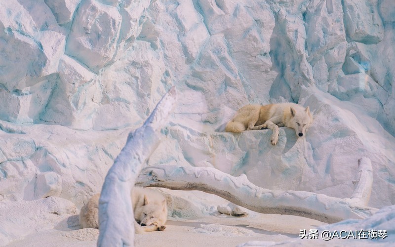 吃喝玩乐in珠海,珠海吃喝玩乐一体的地方