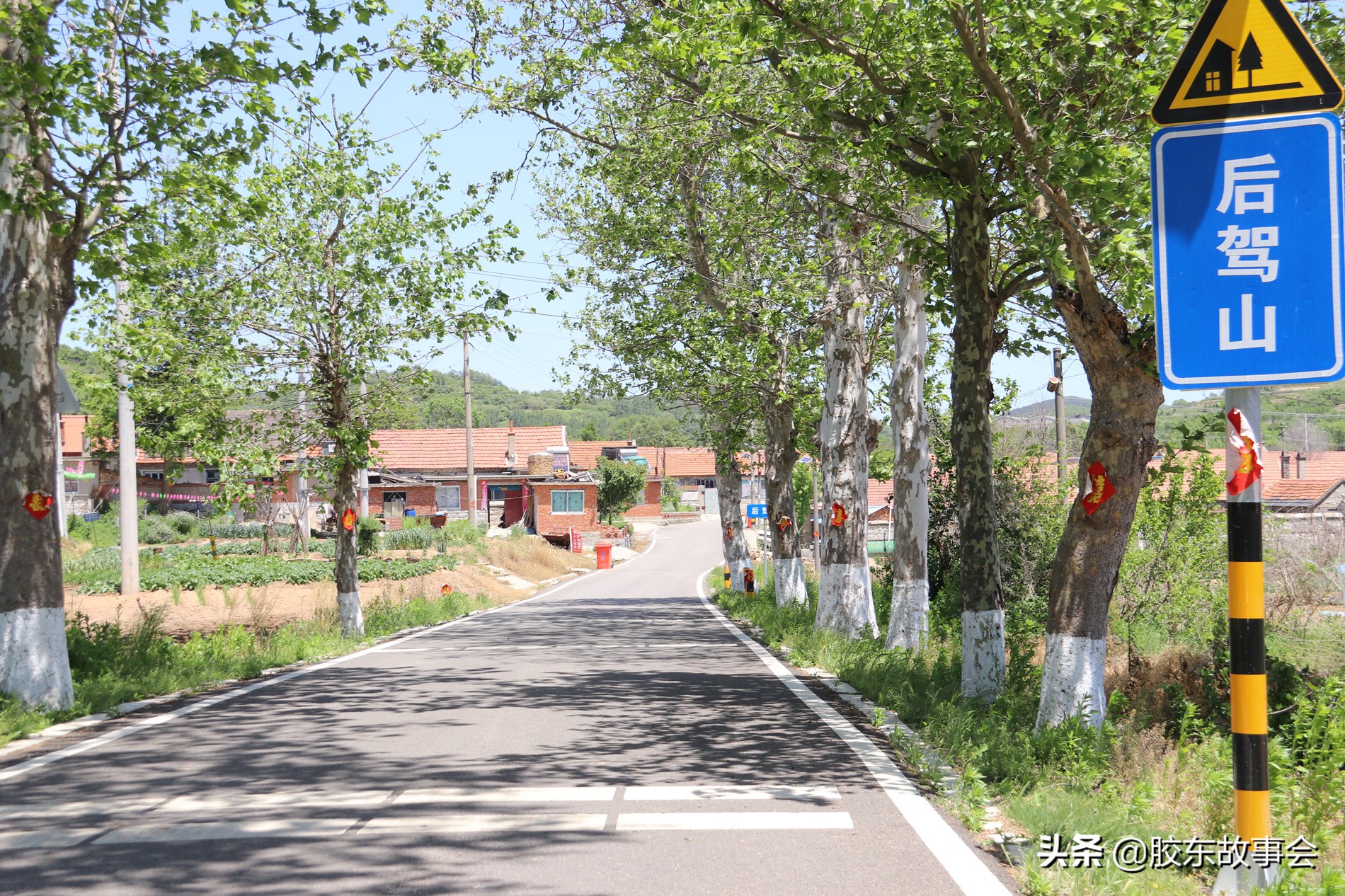 威海的文登区,山东省文登都有哪几个村