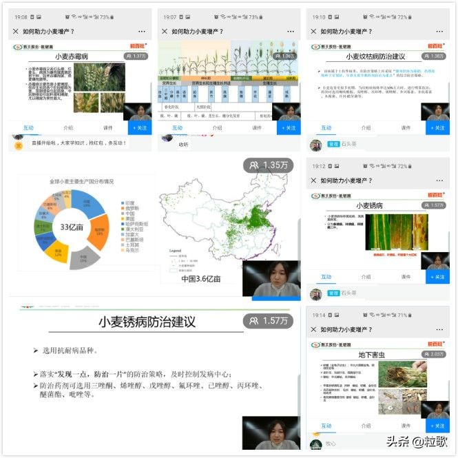 高产小麦示范田的标准及管理,能百旺在作物上一年使用几次