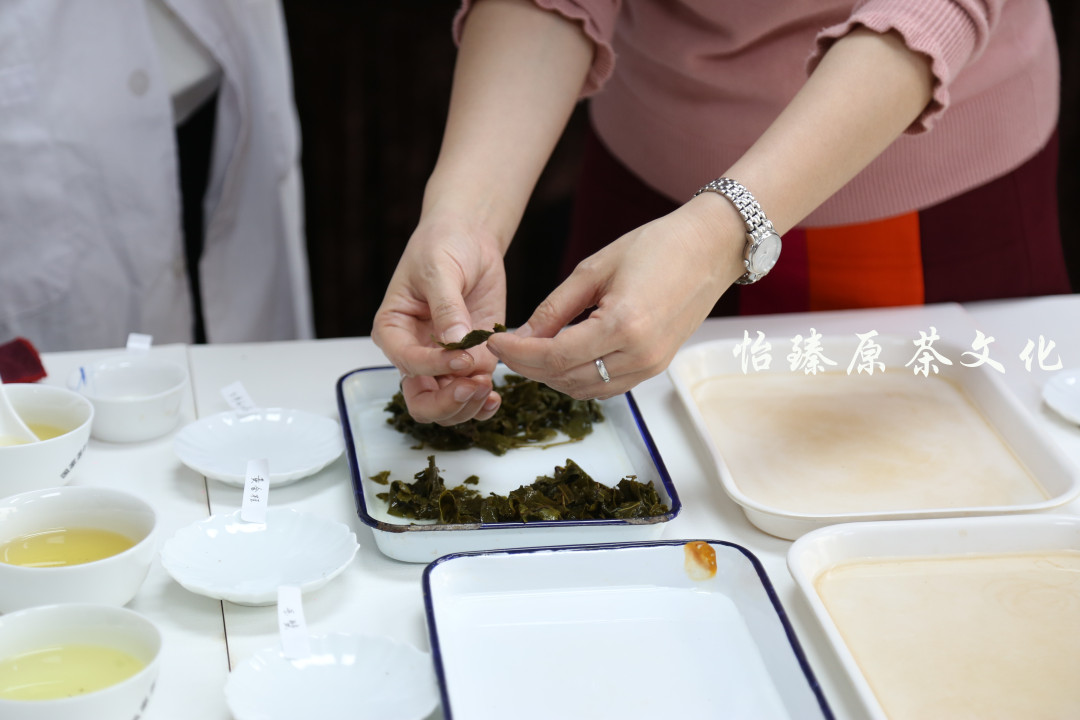 茶叶好不好看,茶叶渣如何辨别茶的好坏