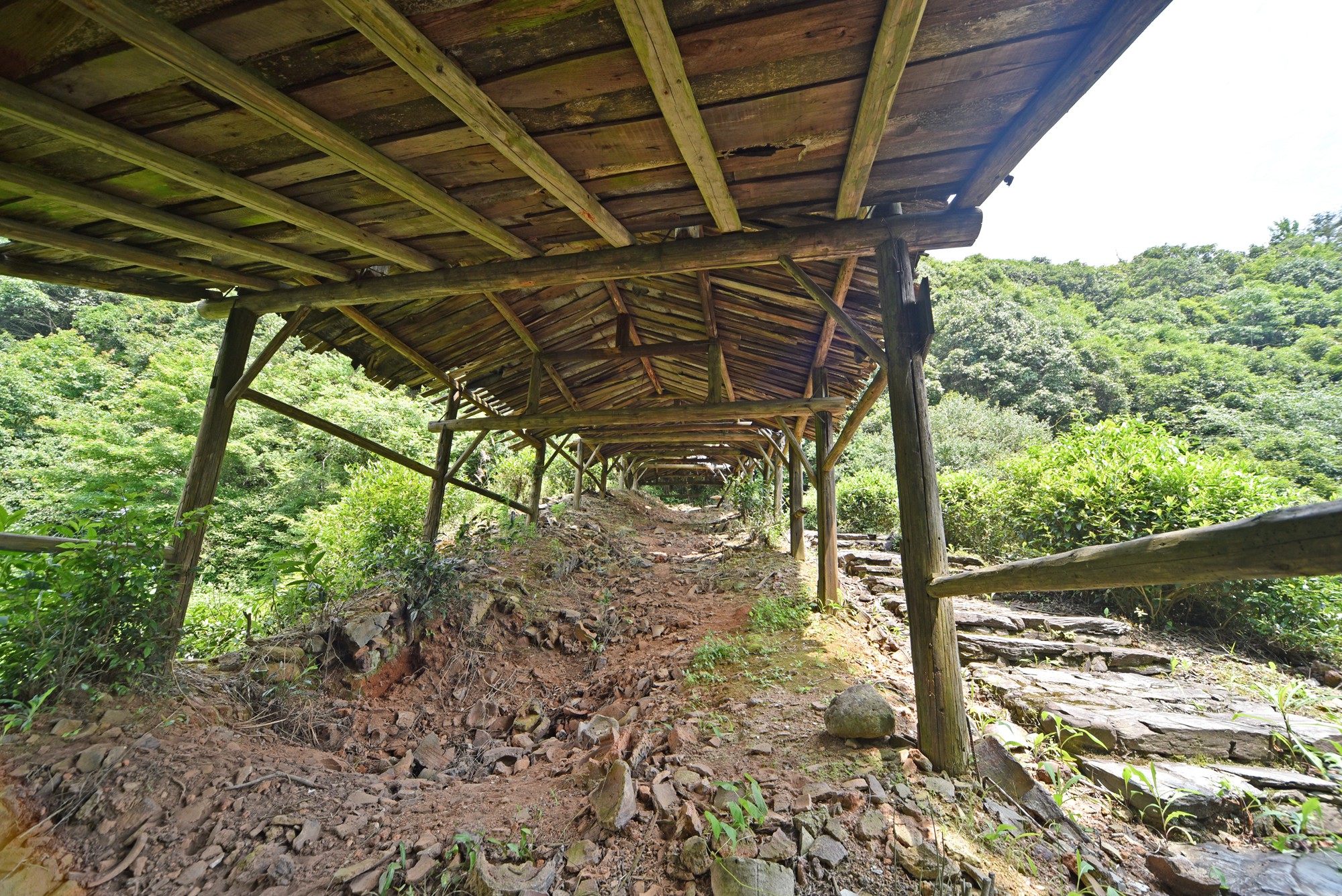 景德镇近代瓷器发展,千年瓷都景德镇有哪些瓷器