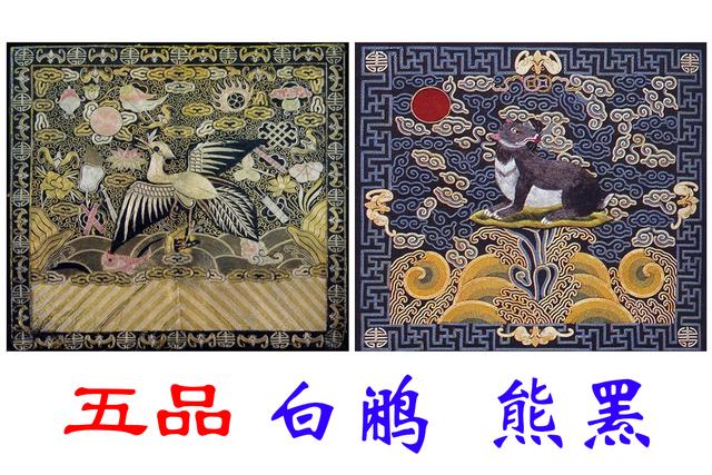 清朝九品十八级怎么看,清朝官员级别从帽子上怎么区分