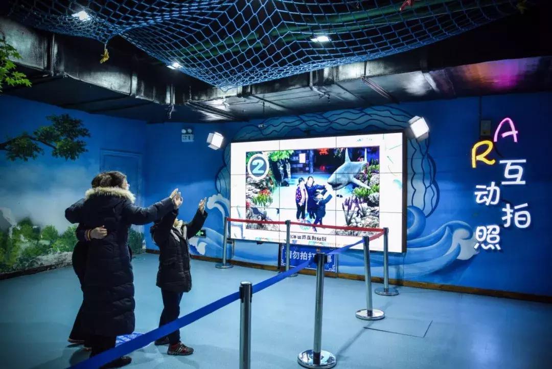 临沂海洋世界优惠券,临沂海洋世界特惠票