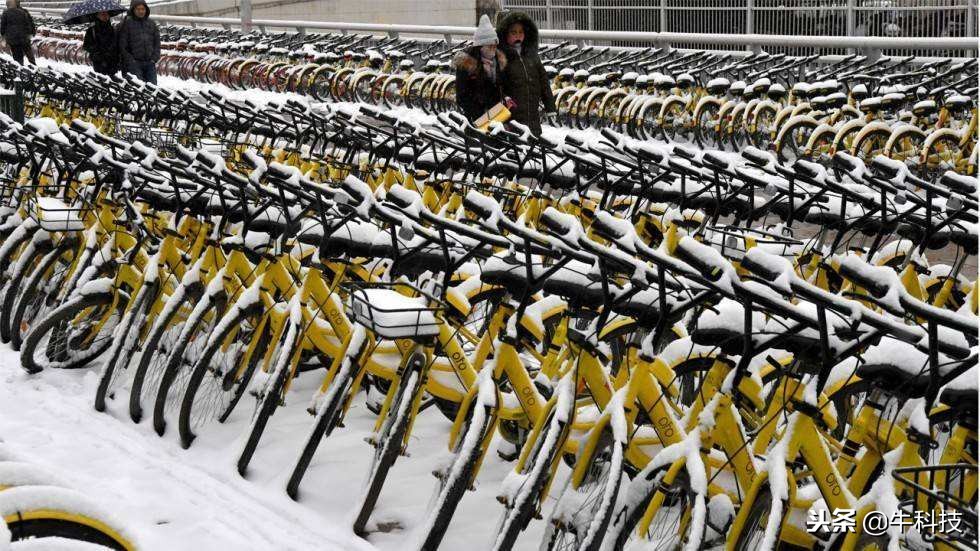 ofo赔偿1375万元，哈啰融资40亿，共享单车将何去何从