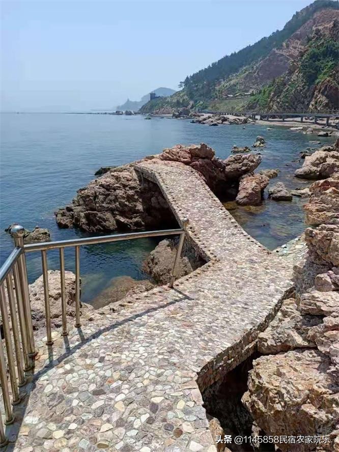 长岛老林渔家,山东长岛渔家乐