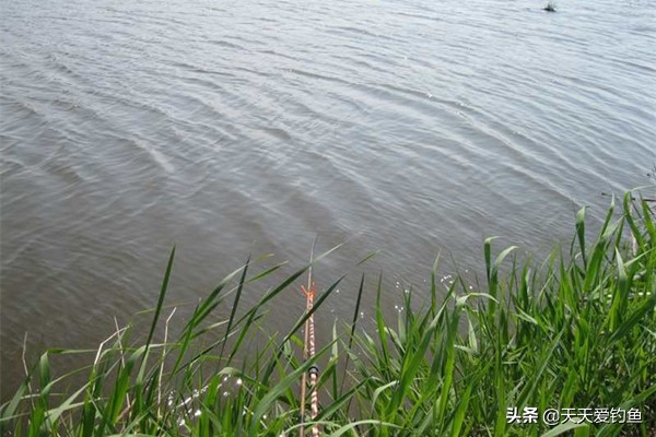 夏季大风天钓鱼的三个技巧,大风天无漂钓鱼