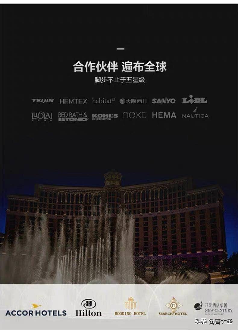 盘点所有枕头,最贵的枕头嘉唯枕头