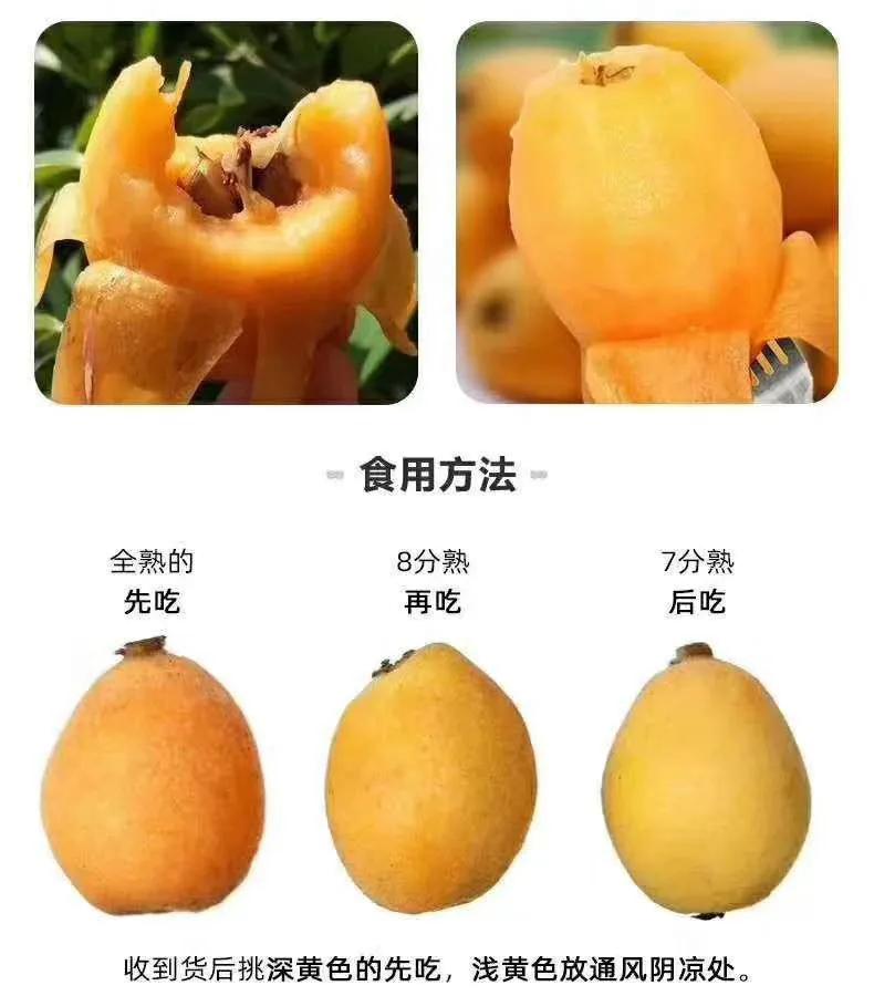 城厢区常太镇首届“壶兰耕读·云上枇杷文化节”暨第22届枇杷节来啦！快来“嗨枇”吧~