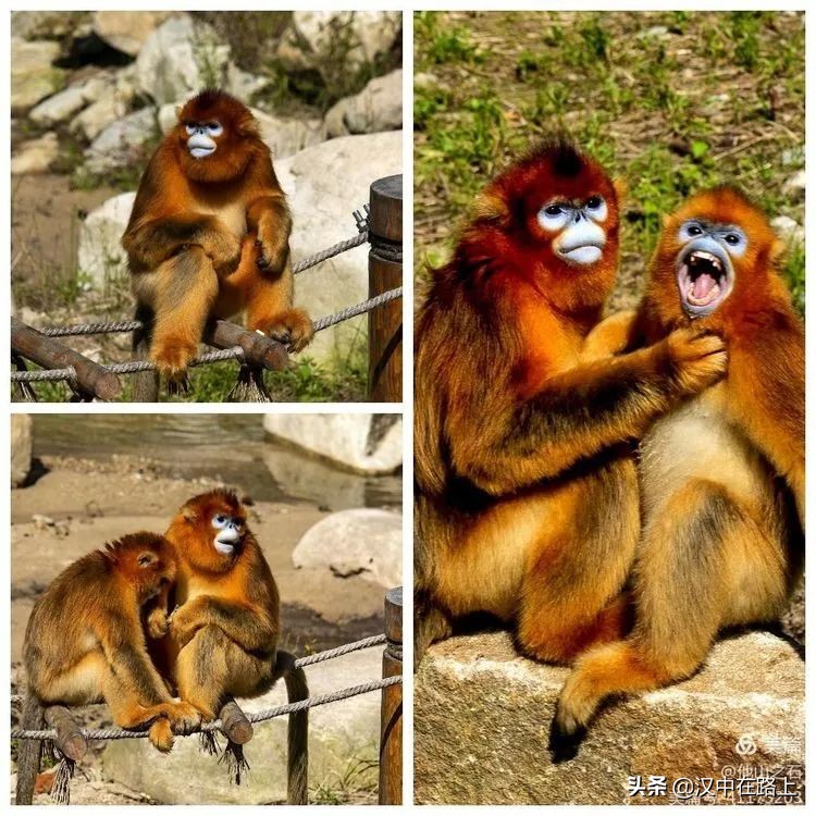 汉中户外遛娃好去处排行榜,汉中遛娃旅游景点有哪些