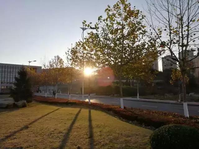 辽宁师范大学辽宁省一流课程,辽宁省普通高等院校