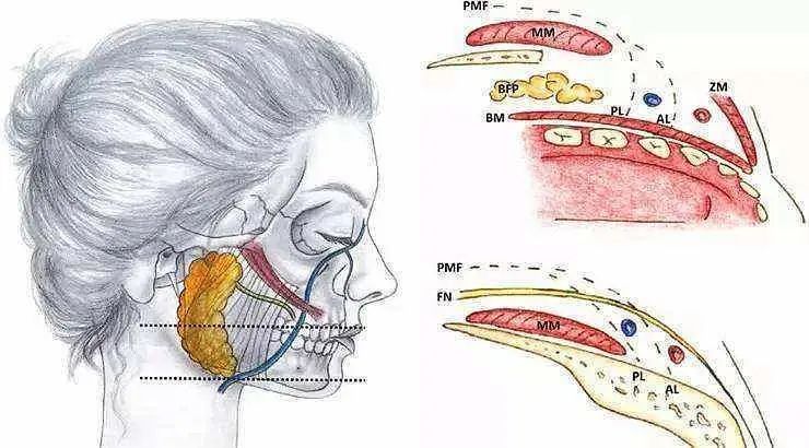一味追求“幼太感”，到底是审美哪里出了问题？