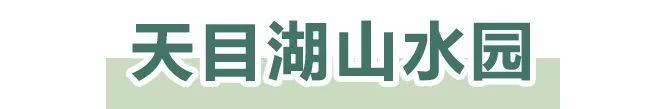 天目湖御湖半岛温泉酒店下午茶,天目湖御湖半岛温泉酒店