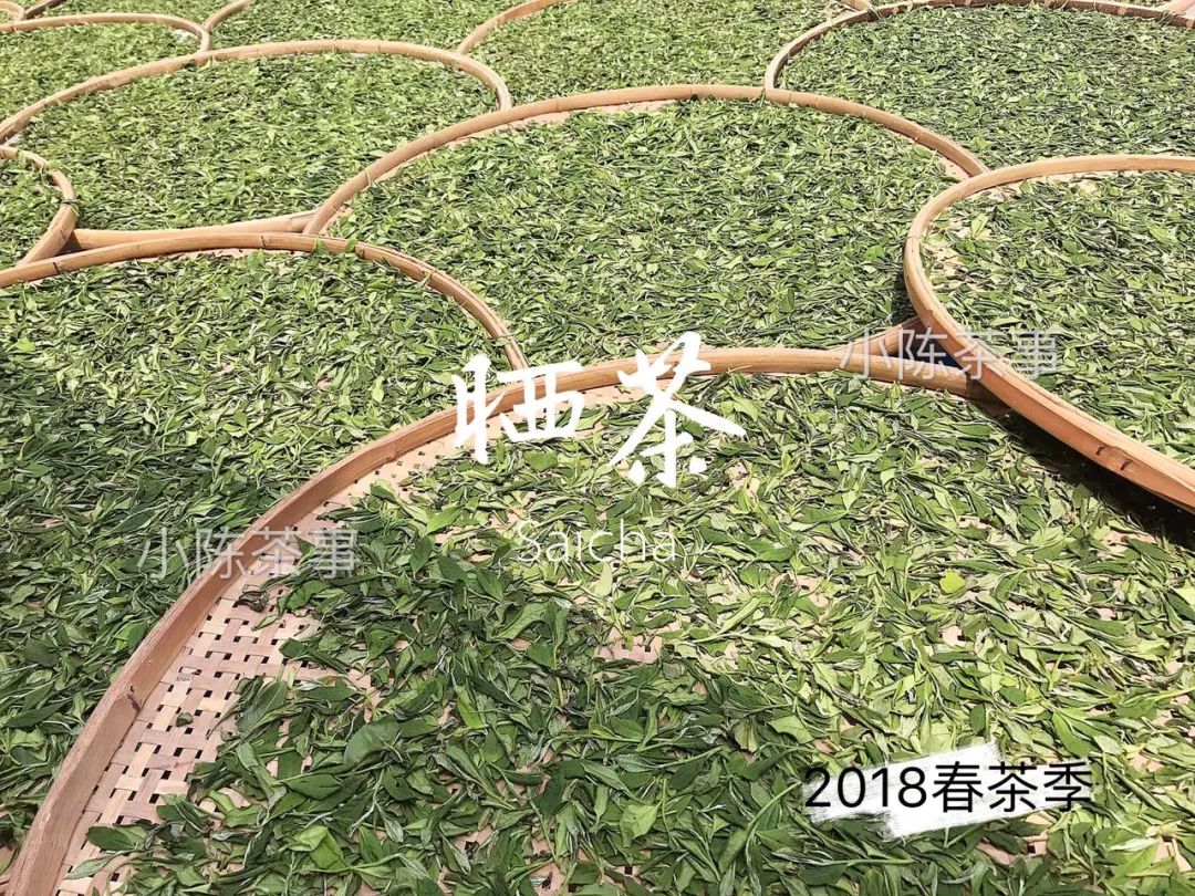 白茶红茶绿茶都是碱性的吗,白茶茶汤酸涩是什么原因