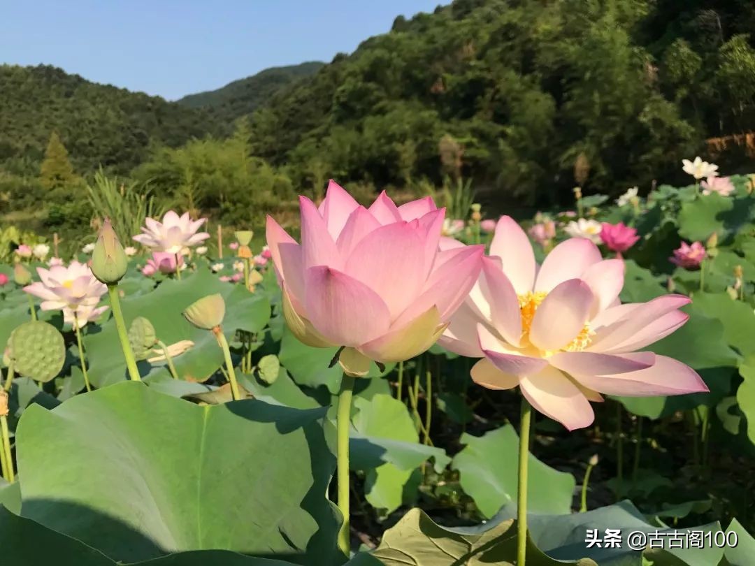 与兰亭对应的书法圣地,兰亭书法纪念馆