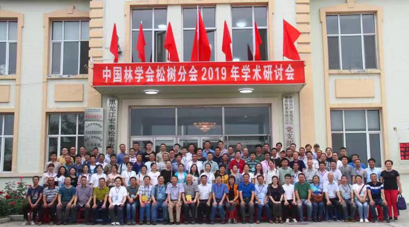 黑龙江宏泰松果有限公司,黑龙江宏泰松果