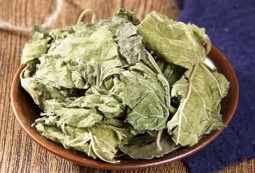 桑树全身都是宝本草纲目记载,桑树一身都是宝被称为东方神木