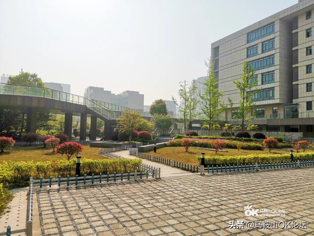 马鞍山生活状况,马鞍山真实生活