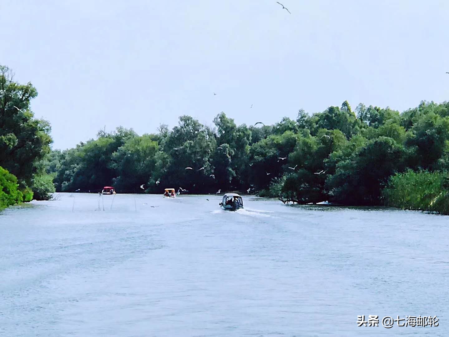 这才是真正的河流视频,这才是真正的碧蓝航线