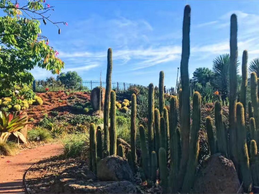 英国留学登机流程,留学英国乘机政策最新